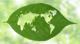 environmental responsibility